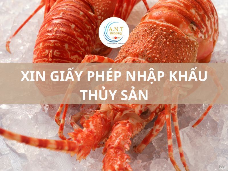 Xin Giấy Phép Nhập Khẩu Thủy Sản